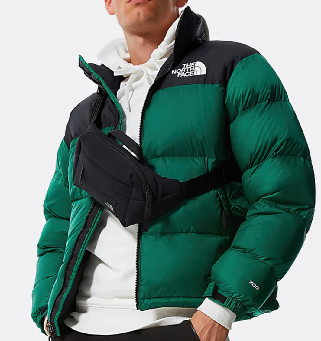 The North Face 1996 Retro Nuptse 700 Jacket