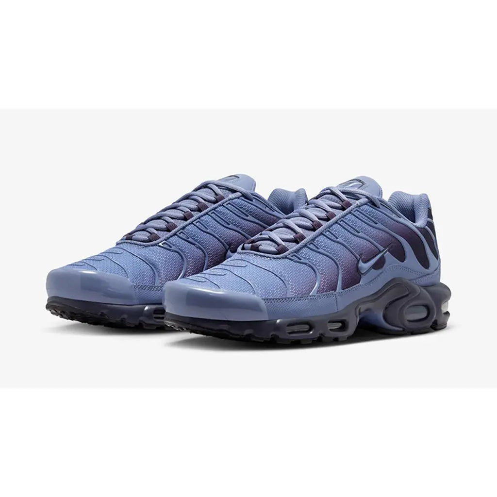Nike Air Max Plus World Indigo
