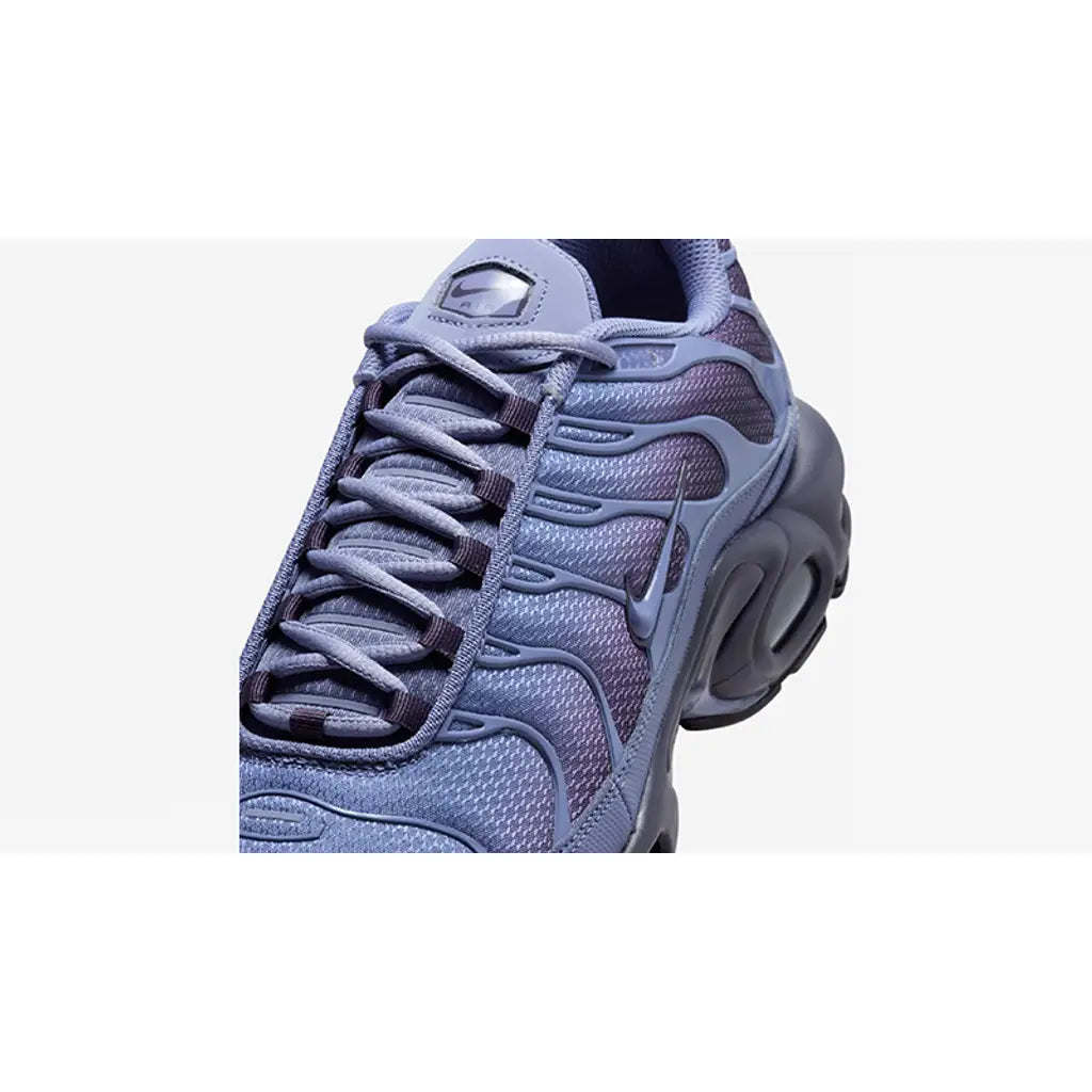 Nike Air Max Plus World Indigo