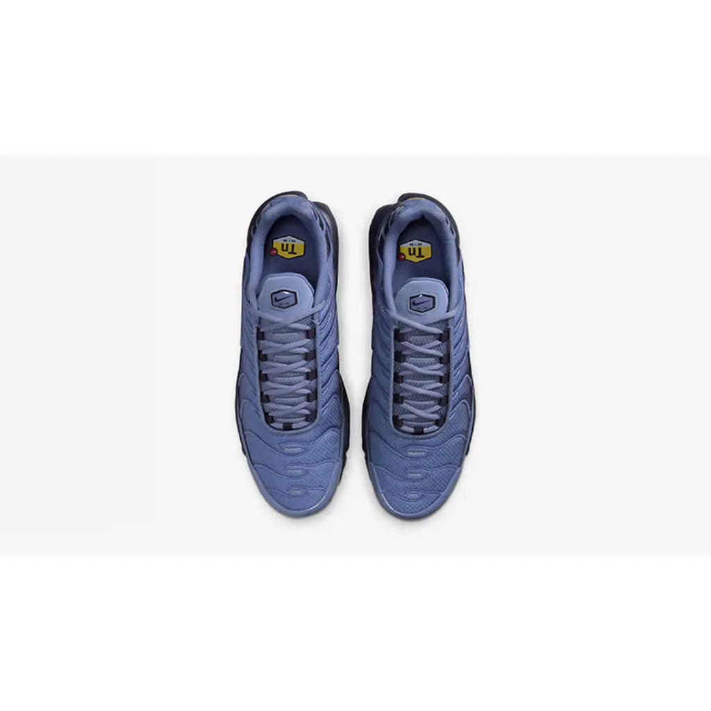Nike Air Max Plus World Indigo