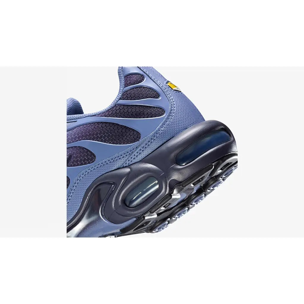 Nike Air Max Plus World Indigo