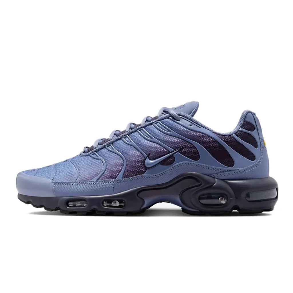 Nike Air Max Plus World Indigo
